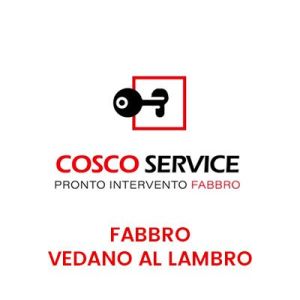 Fabbro Vedano al Lambro