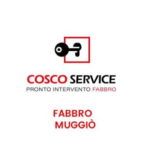 Fabbro Muggiò