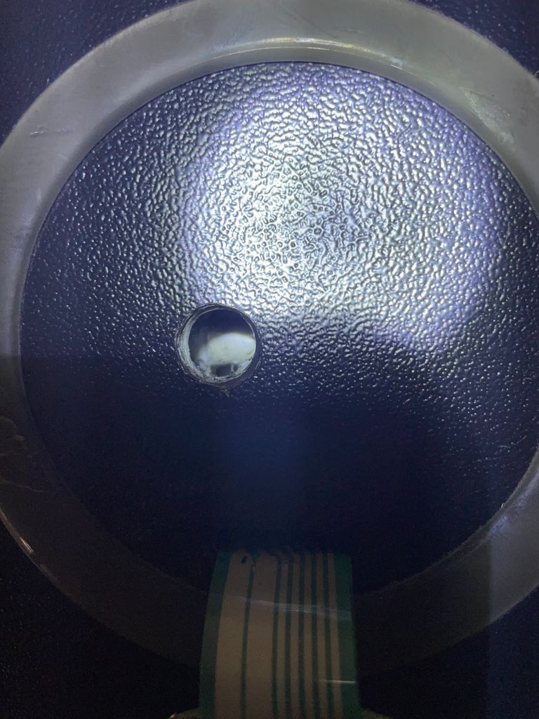 Photo 2021 07 23 08 43 17