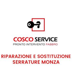 Riparazione e Sostituzione Serrature Monza