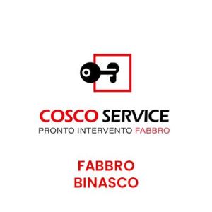 Fabbro Binasco