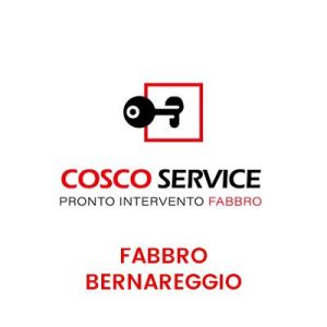 Fabbro Bernareggio