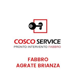 Fabbro Agrate Brianza