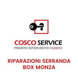 Riparazioni Serranda Box Monza